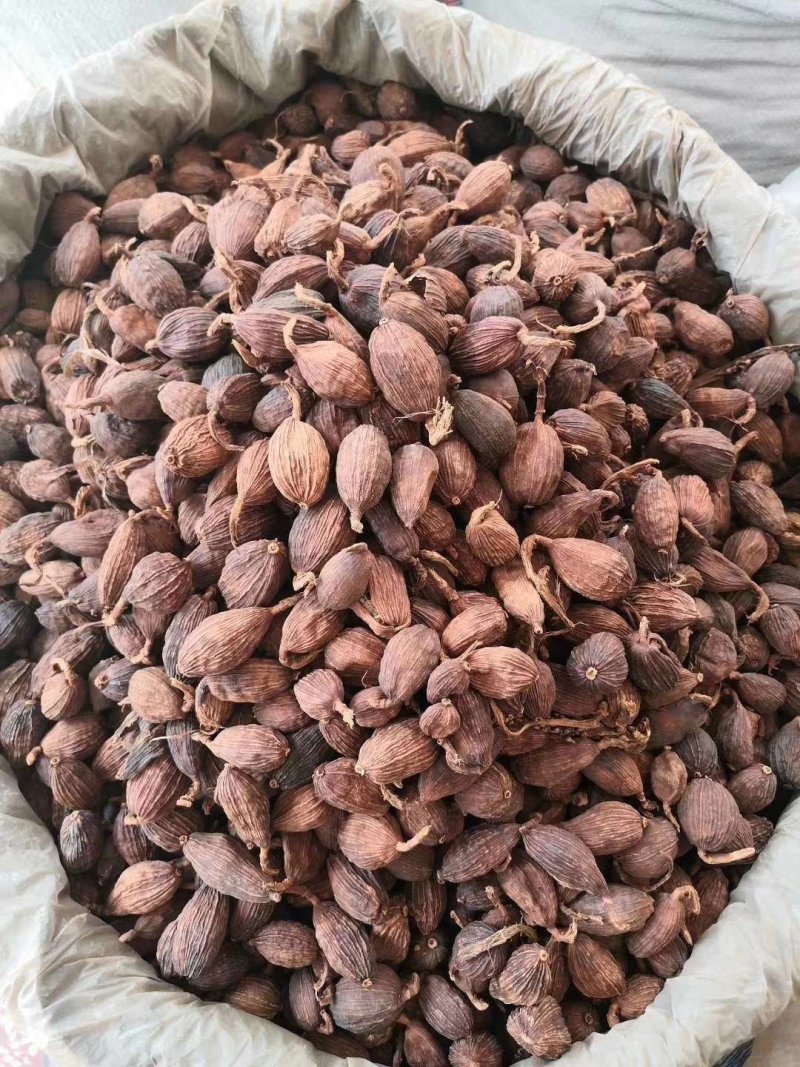 草果电烤炭烤调味香料调味料火锅底料云南越南产地零售批发
