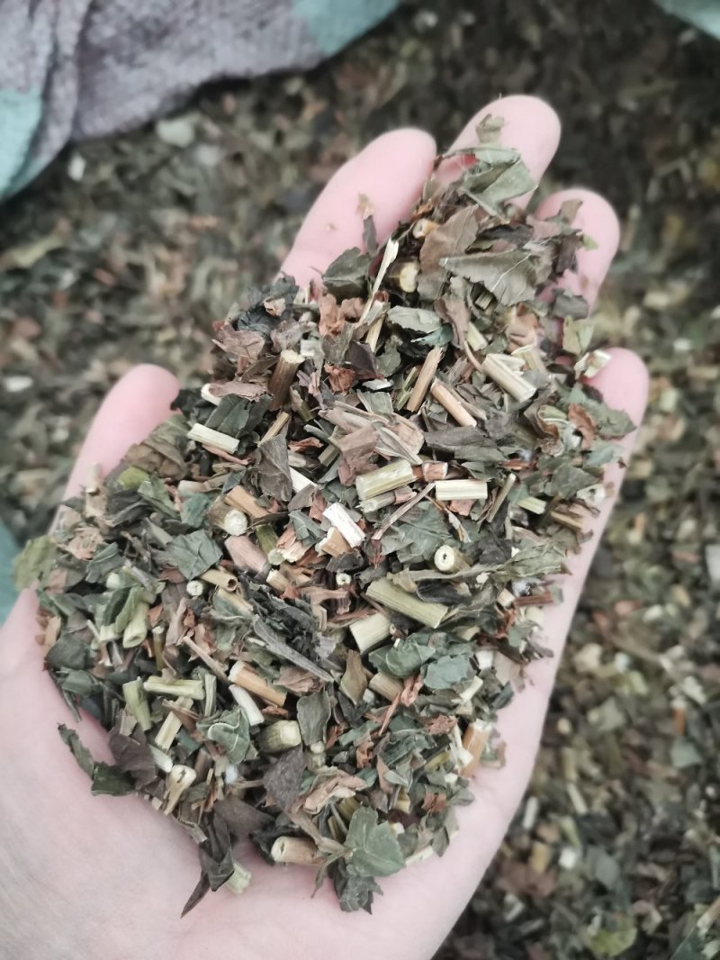 中药材佩兰干净家种千金草叶兰草口气茶一公斤起发