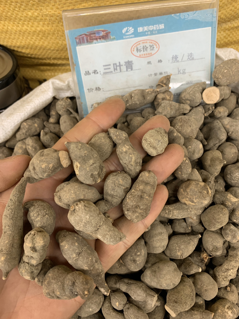三叶青三叶青个子无硫磺熏蒸一公斤起批