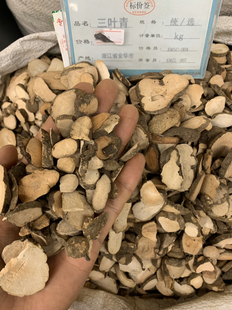 三叶青三叶青个子无硫磺熏蒸一公斤起批