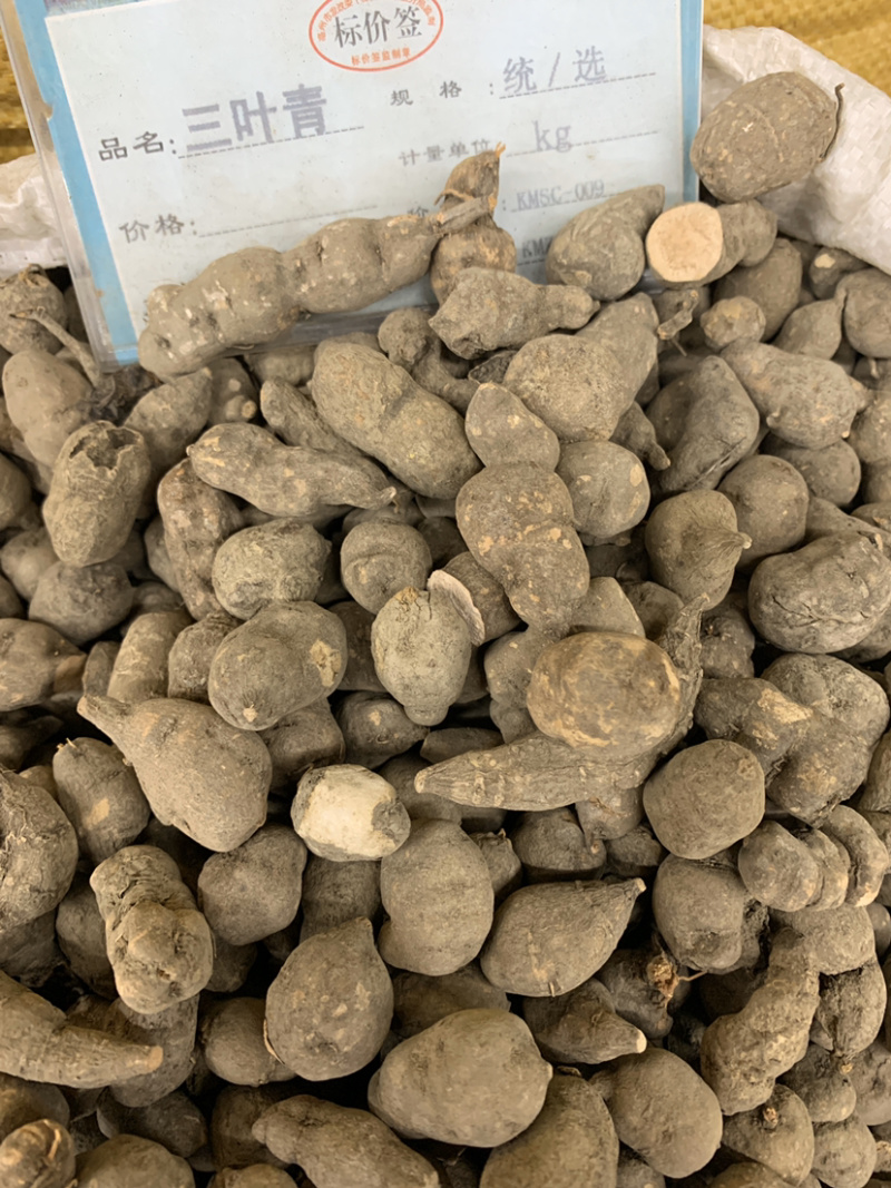 三叶青三叶青个子无硫磺熏蒸一公斤起批