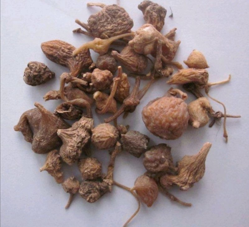 珠子参，道地药材，质优价实，品质保证，药典标准一公斤起批