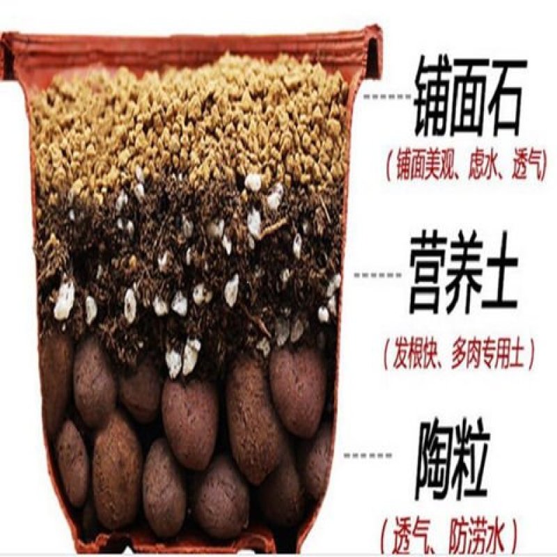 营养土，直接可以下单包邮