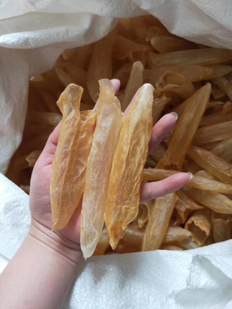 正品黄花胶鱼胶干度好，诚信经营批发！！！！