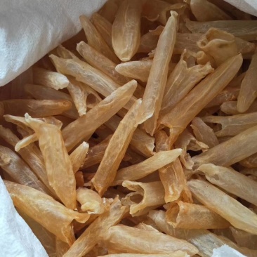 正品黄花胶鱼胶干度好，诚信经营批发！！！！