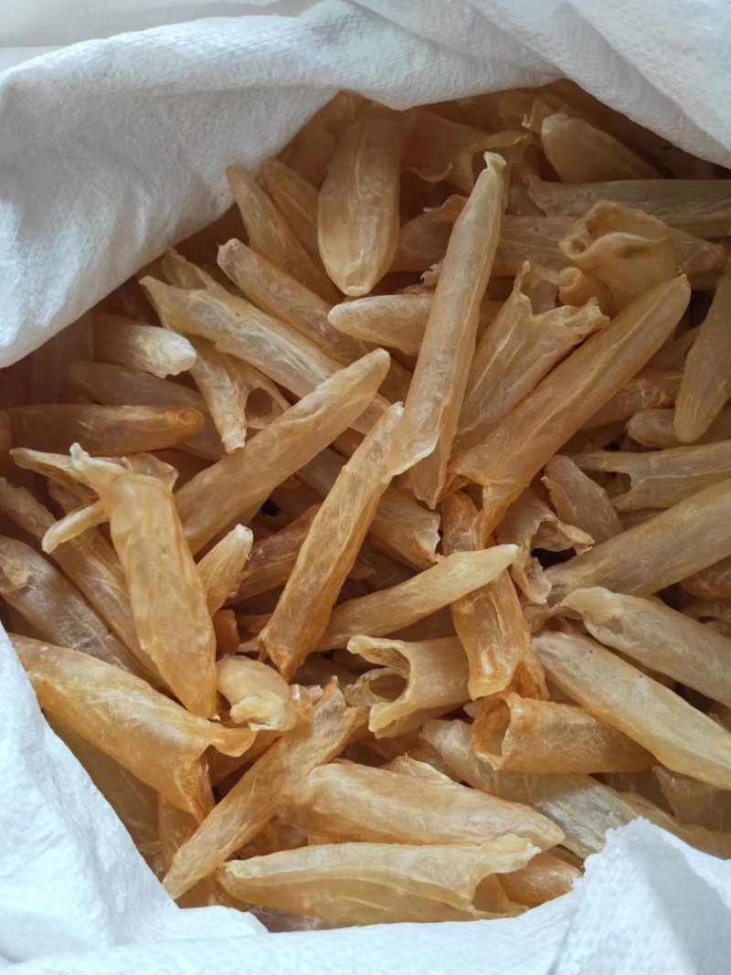正品黄花胶鱼胶干度好，诚信经营批发！！！！