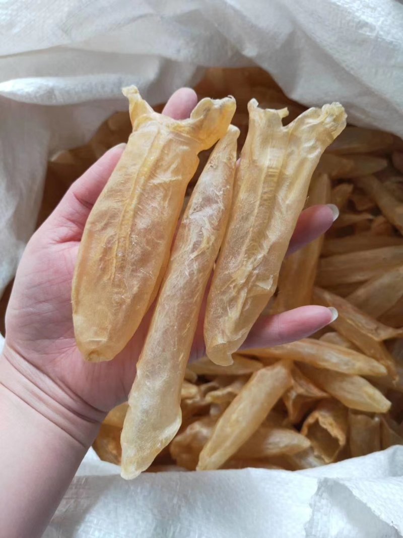 正品黄花胶鱼胶干度好，诚信经营批发！！！！