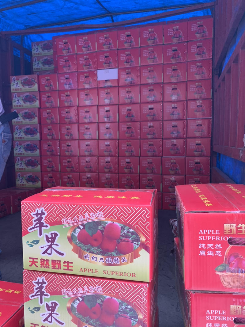 精品红富士苹果大量供货中产地直销一手货源