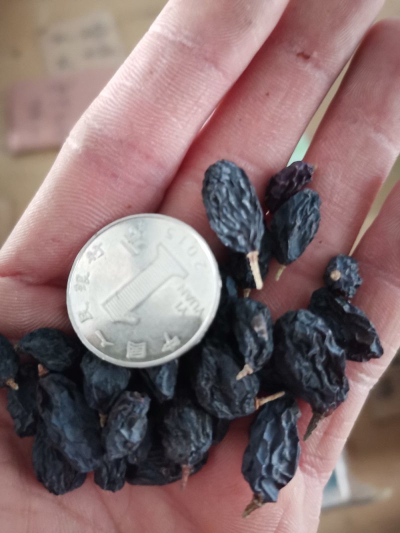 《包邮》进口黑加仑葡萄干