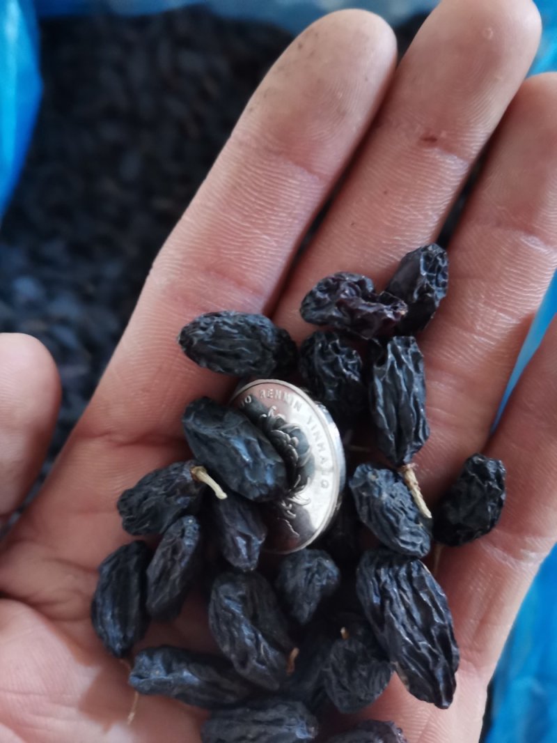 《包邮》进口黑加仑葡萄干
