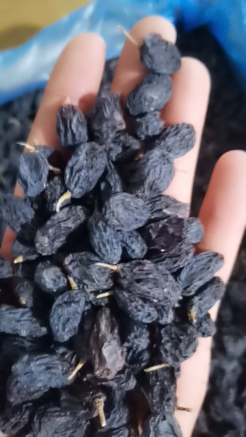 《包邮》进口黑加仑葡萄干