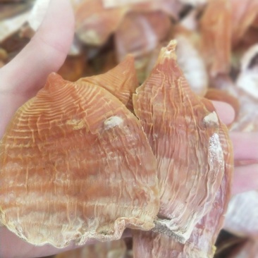 干笋6寸以下统货