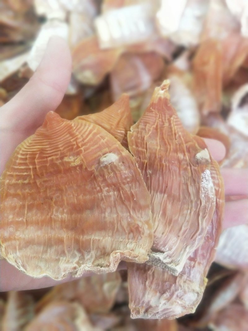 干笋6寸以下统货