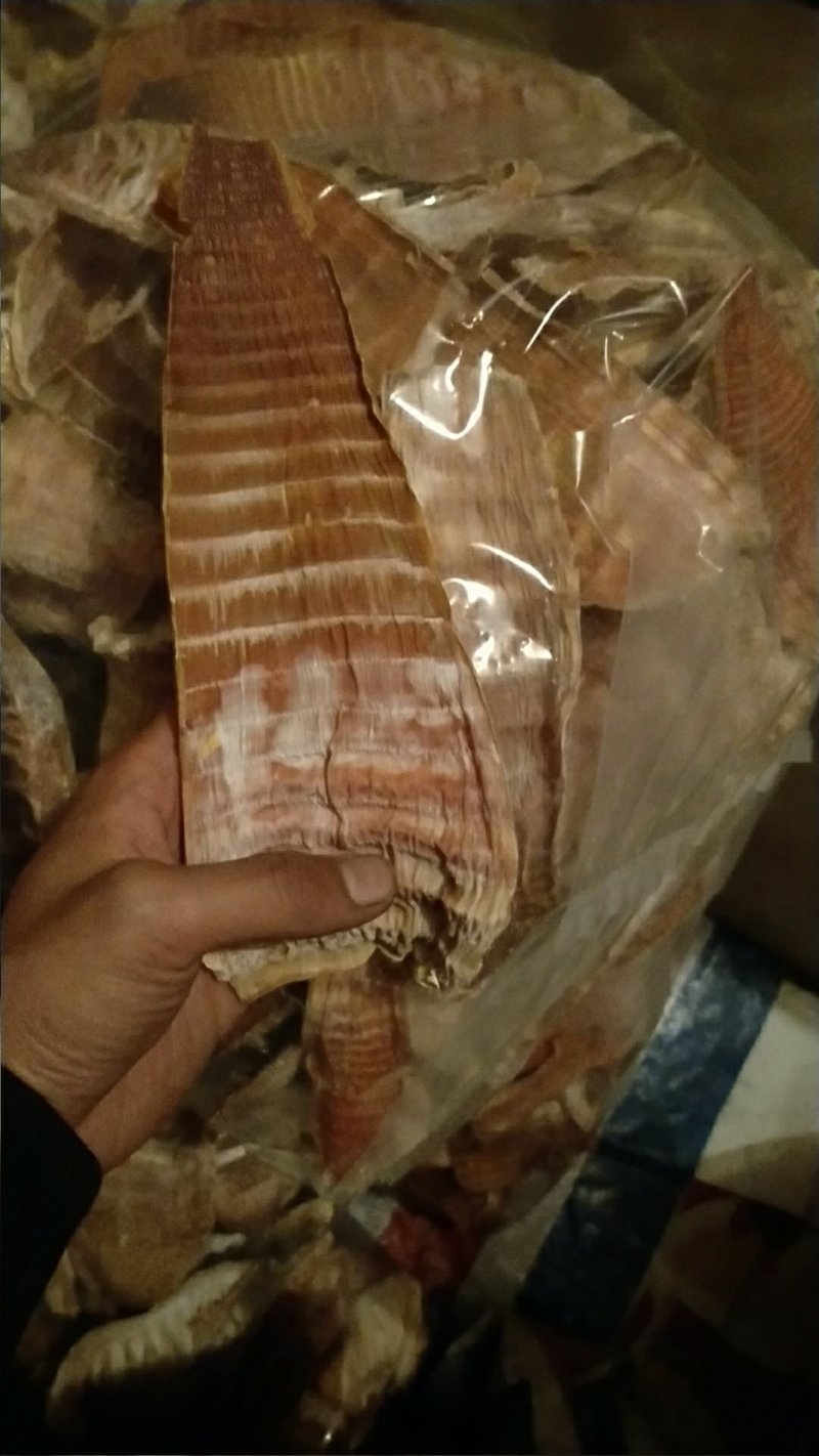 饭店专用笋干，6寸以上