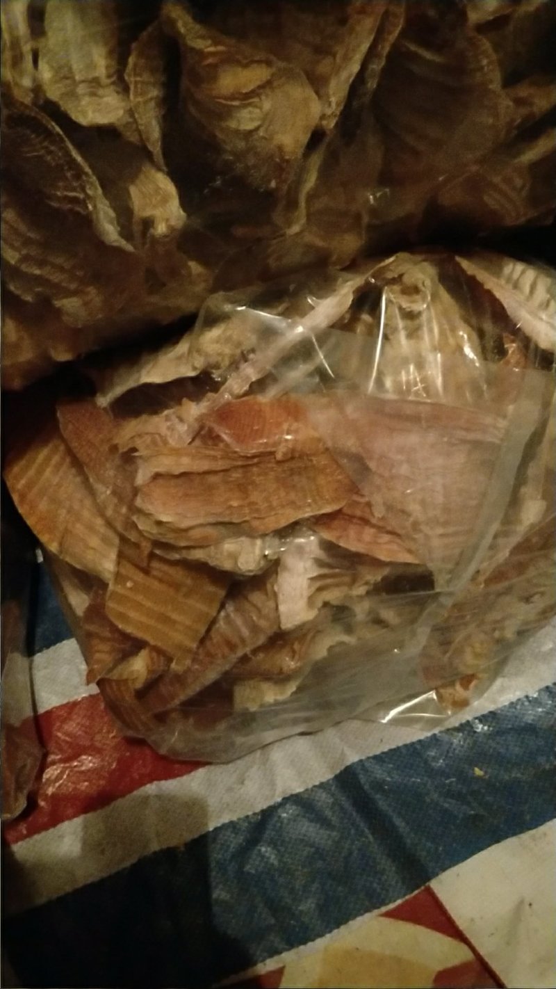 饭店专用笋干，6寸以上