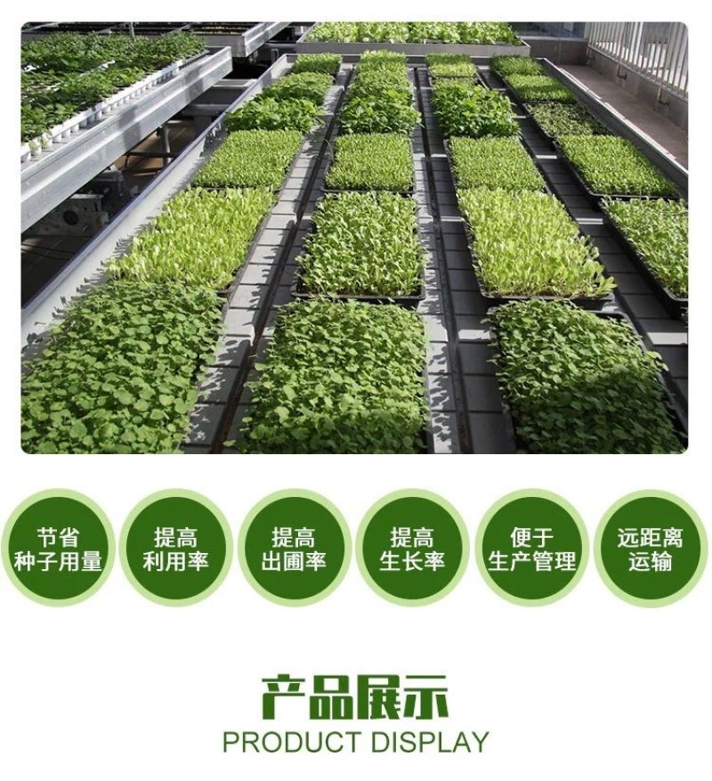 育苗穴盘50穴全新材质国标蔬菜瓜果育苗盘型号齐全支持定做