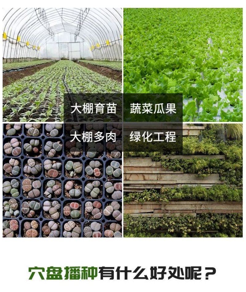 育苗穴盘50穴全新材质国标蔬菜瓜果育苗盘型号齐全支持定做