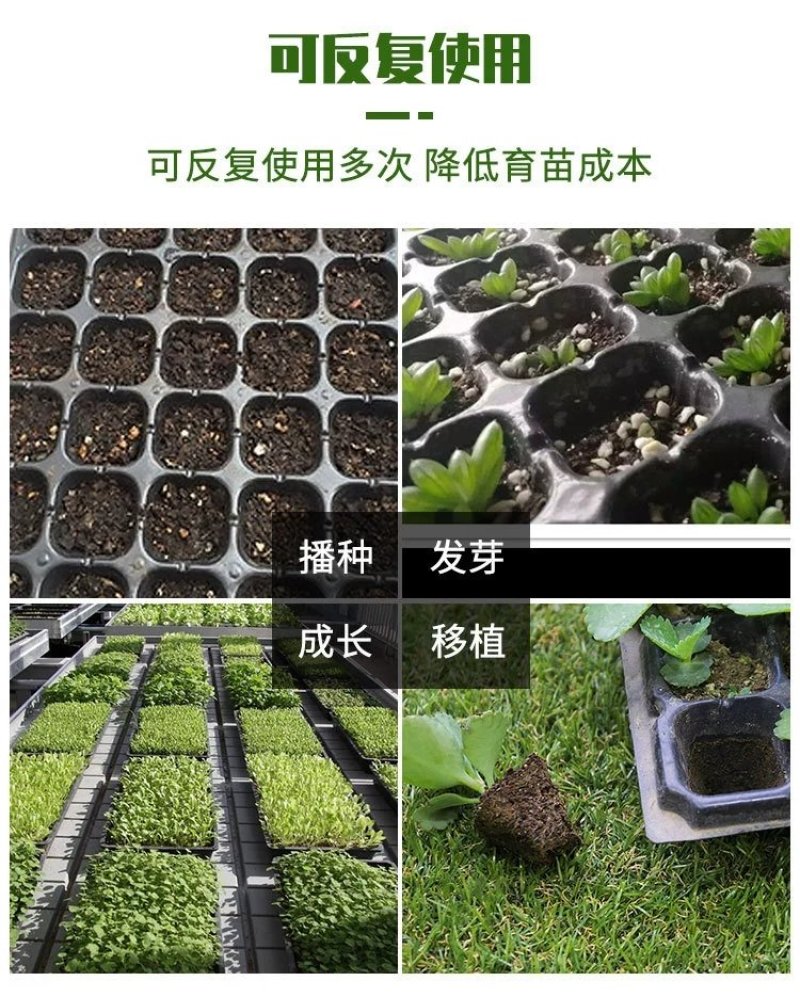 育苗穴盘50穴全新材质国标蔬菜瓜果育苗盘型号齐全支持定做
