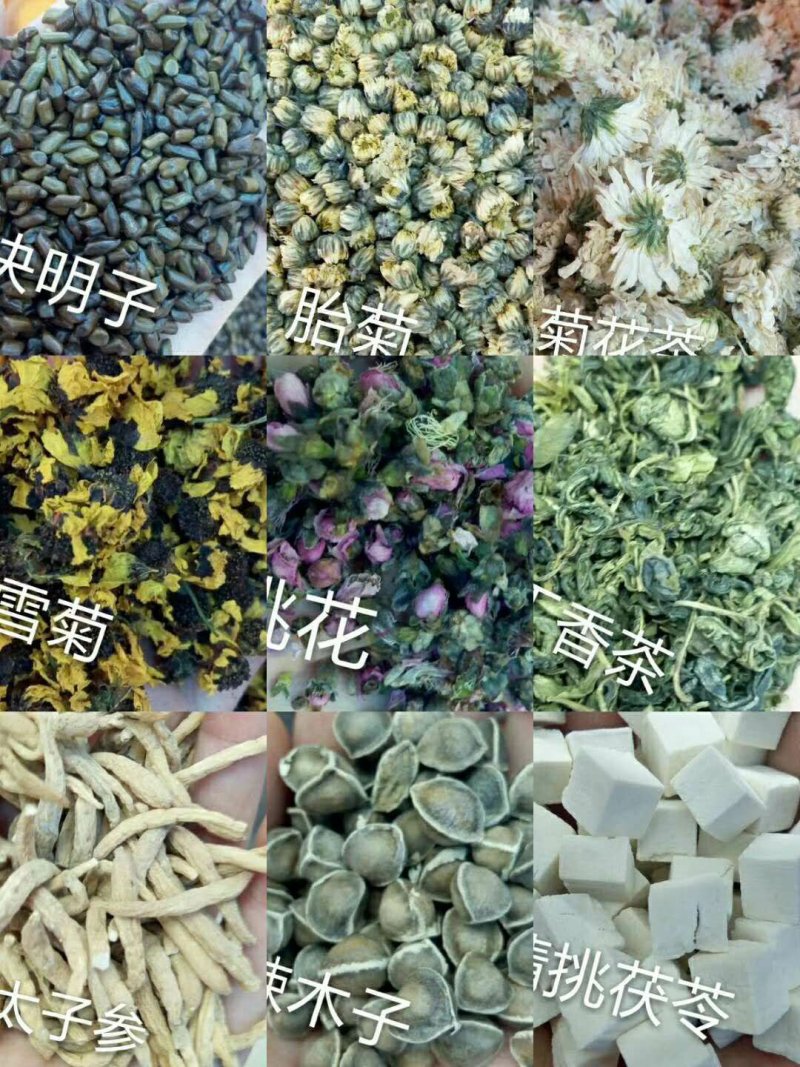亳州药材花茶供应菊花，枸杞，人参