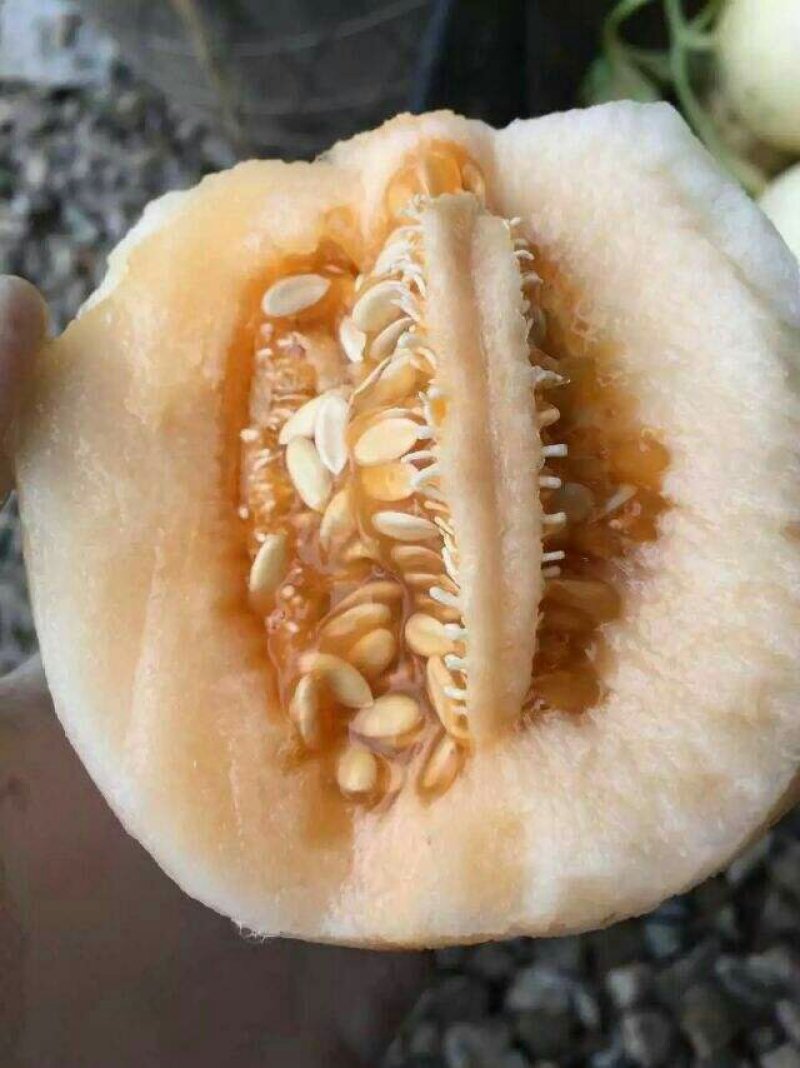 瓜果类