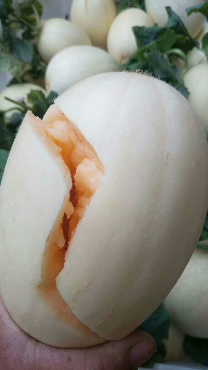 瓜果类
