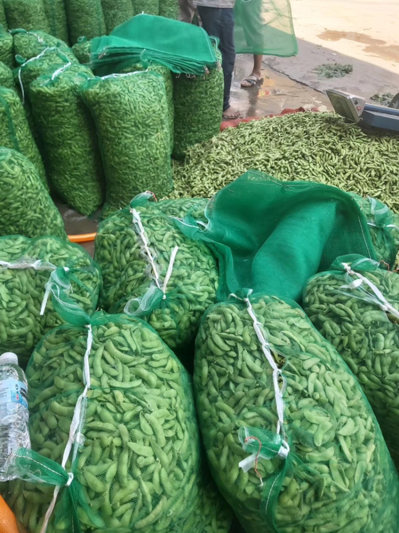 新鲜毛豆
