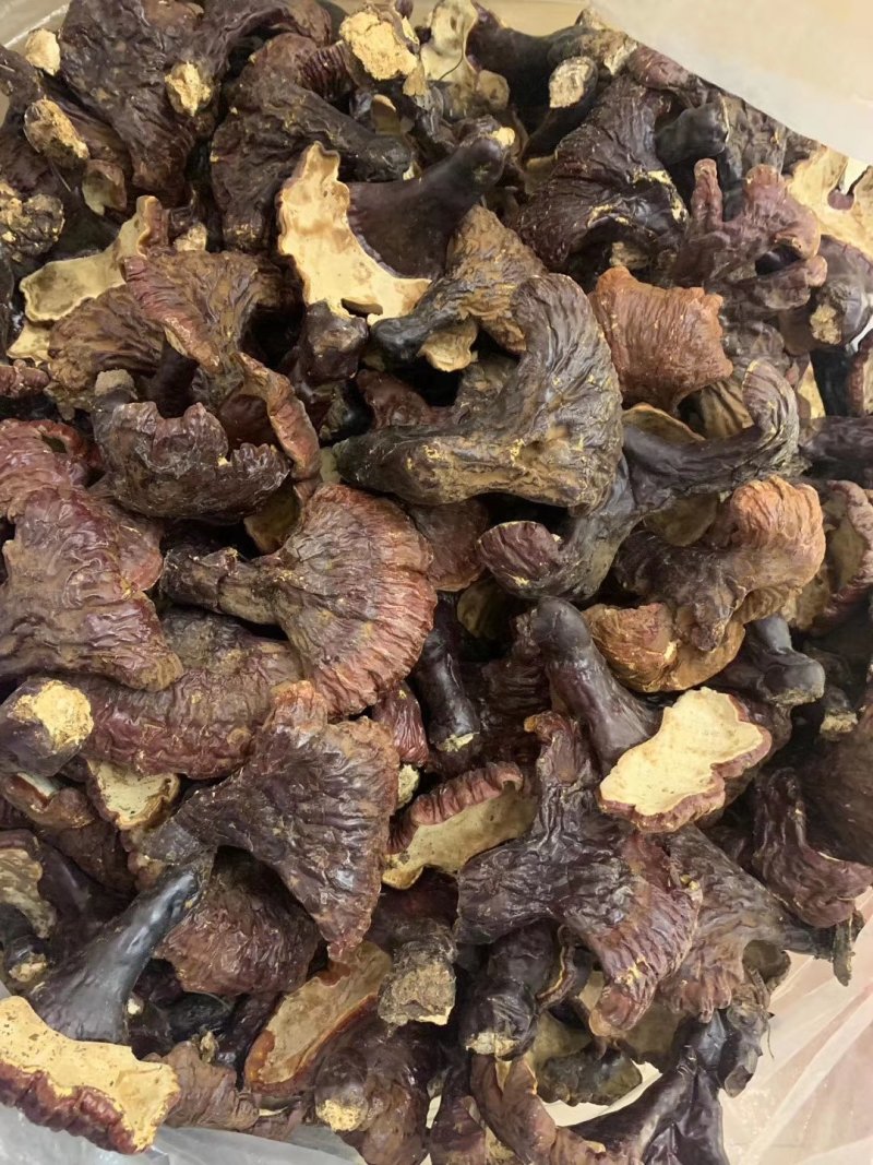 天然东北长白山野生整枝赤灵芝500g装正品野生灵芝