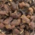 天然东北长白山野生整枝赤灵芝500g装正品野生灵芝