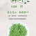 恩施硒茶，富硒芽茶绿茶芽茶
