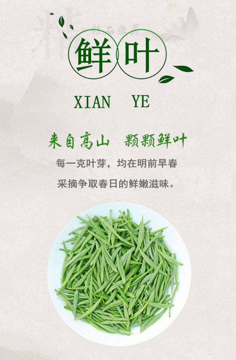 恩施硒茶，富硒芽茶绿茶芽茶