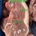 新鲜猪带骨后腰肉猪肉一箱20斤饭店食堂快餐自家吃食材