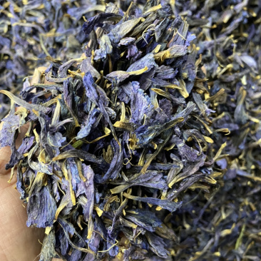 牛舌草花