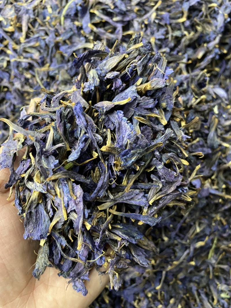 牛舌草花