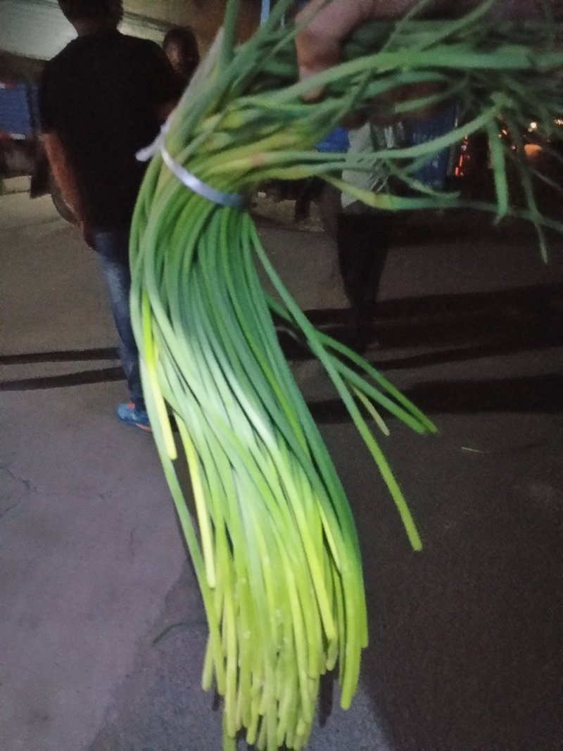金乡红帽蒜苔大量供应支持线上交易，可以加工各种包装