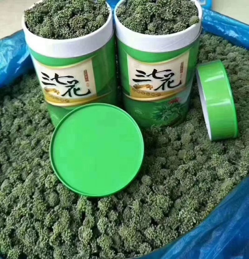 云南【文山三七花】产地批发价格合适