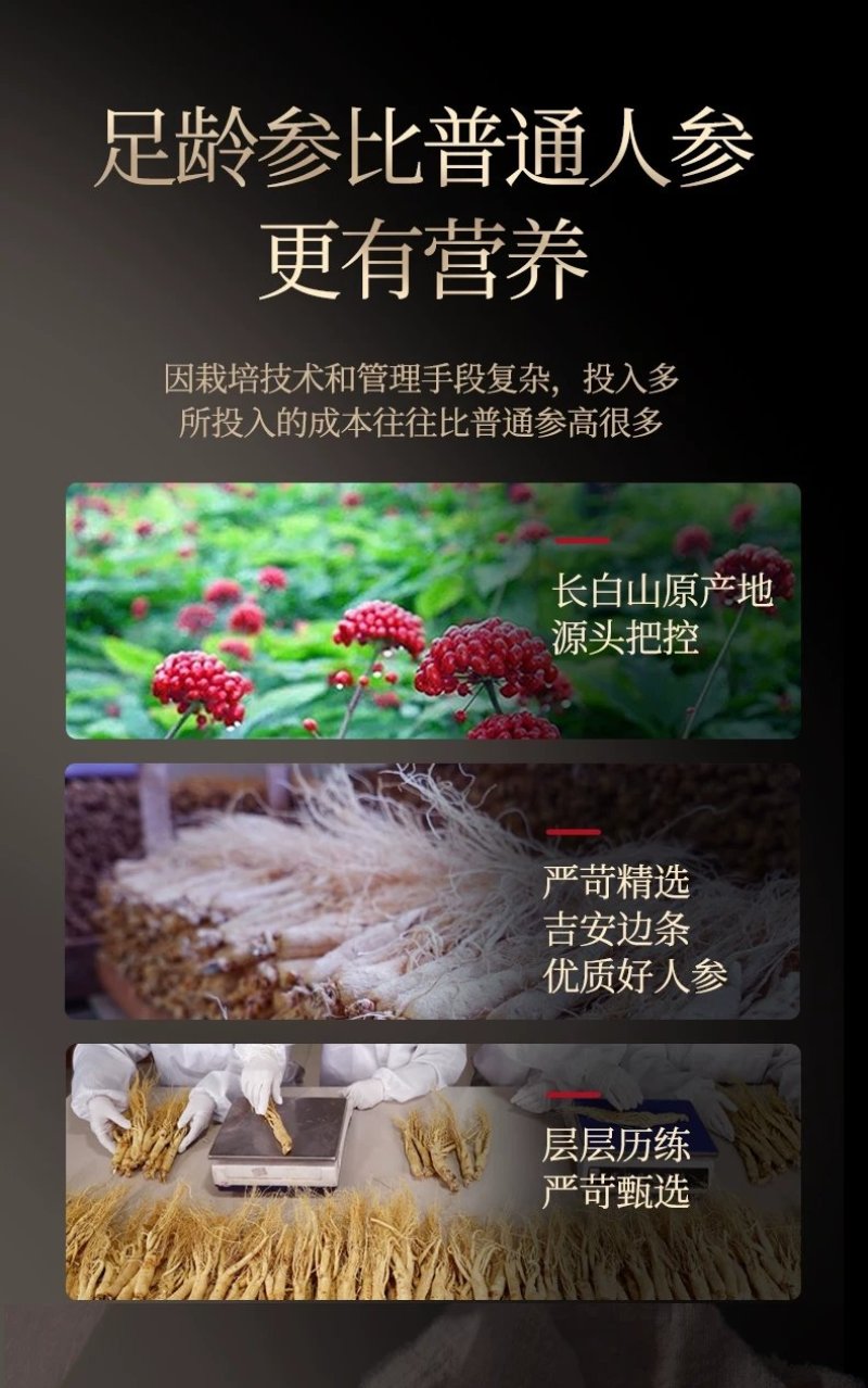 东北特产精品人参林下参红参产地直供