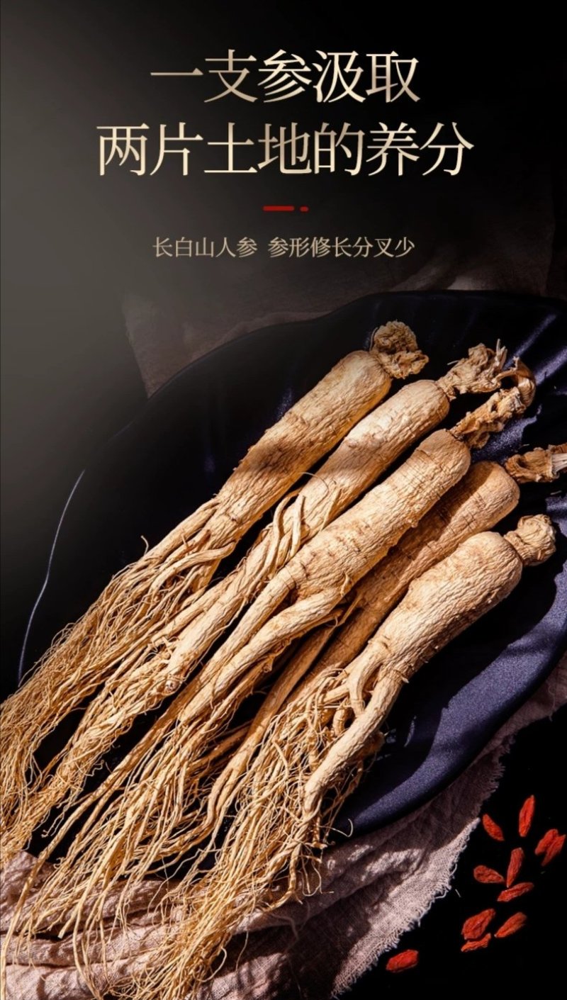 东北特产精品人参林下参红参产地直供