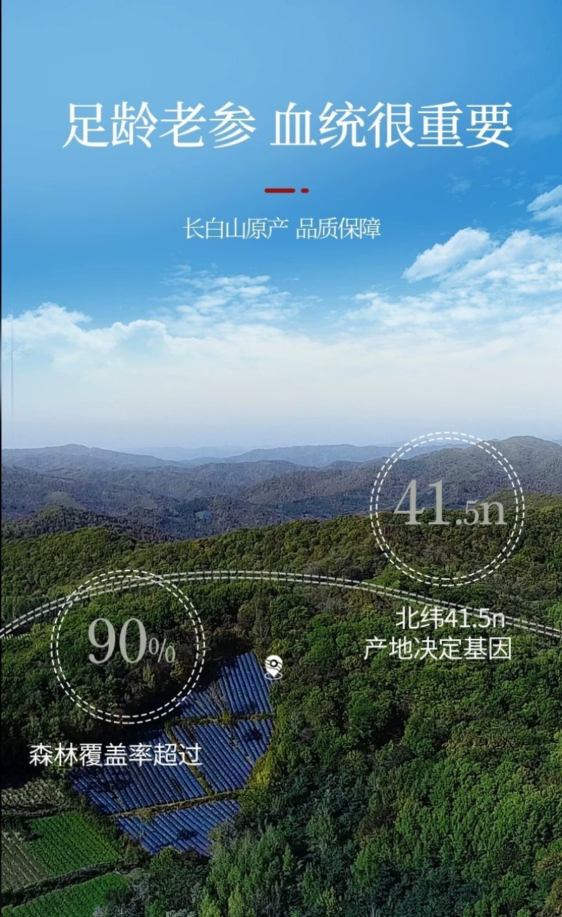 东北特产精品人参林下参红参产地直供