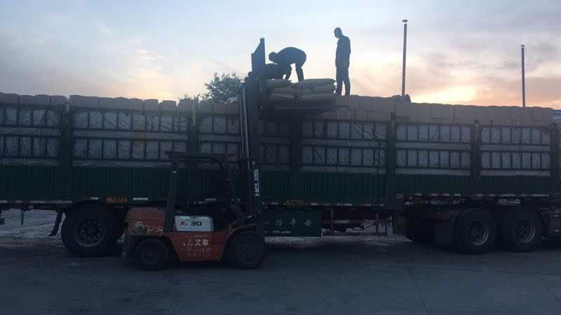 南瓜子仁个头均匀，整齐。量大可以优惠的