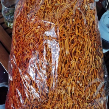 【爆款】原产地虫草花干货乱草两斤装可炒可凉拌