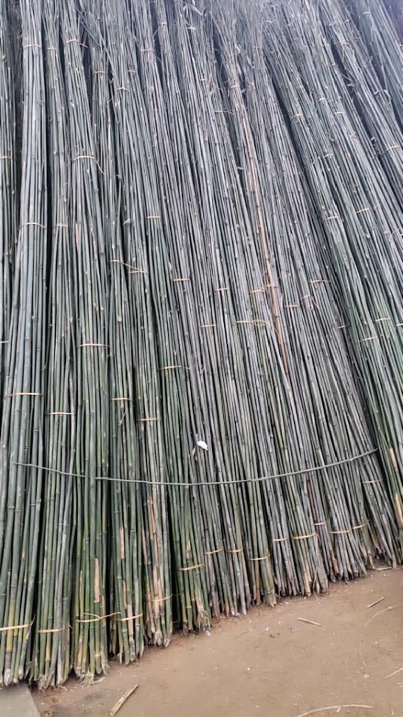 菜架竹，豆角架杆，竹竿，实心竹，保用3年不怕风吹日晒