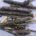 水柏枝,道地药材,质优价实,品质保证,药典标准一公斤起批