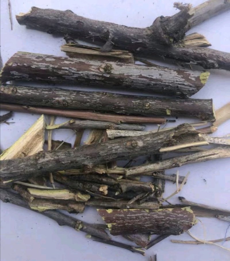 水柏枝，道地药材，质优价实，品质保证，药典标准一公斤起批
