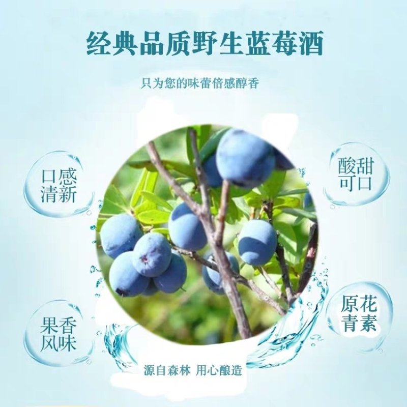 蓝莓果味酒口感清甜一件四瓶产地直供支持批发零售