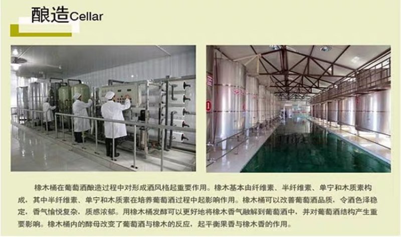 蓝莓果味酒口感清甜一件四瓶产地直供支持批发零售