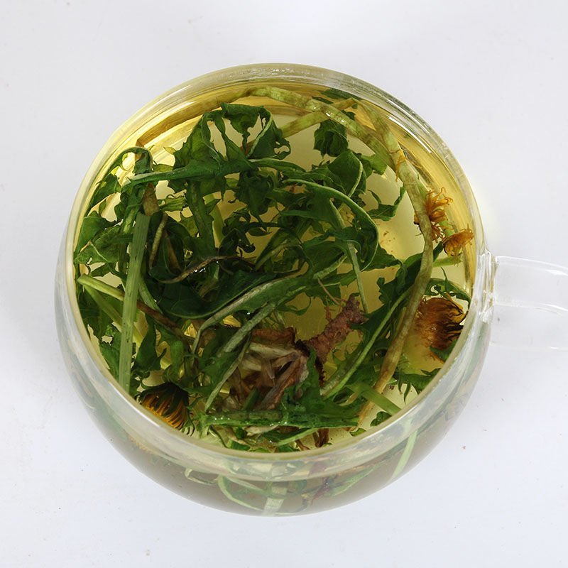 蒲公英家种蒲公英各种草药类中药材