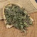 蒲公英家种蒲公英各种草药类中药材