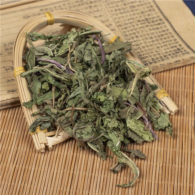 蒲公英家种蒲公英各种草药类中药材