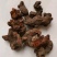 红升麻,产地直供，质优价实，品质保证，药典标准道地良药