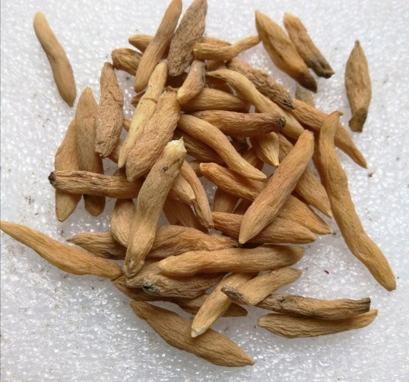 山麦冬,产地直供，质优价实，品质保证，药典标准道地良药